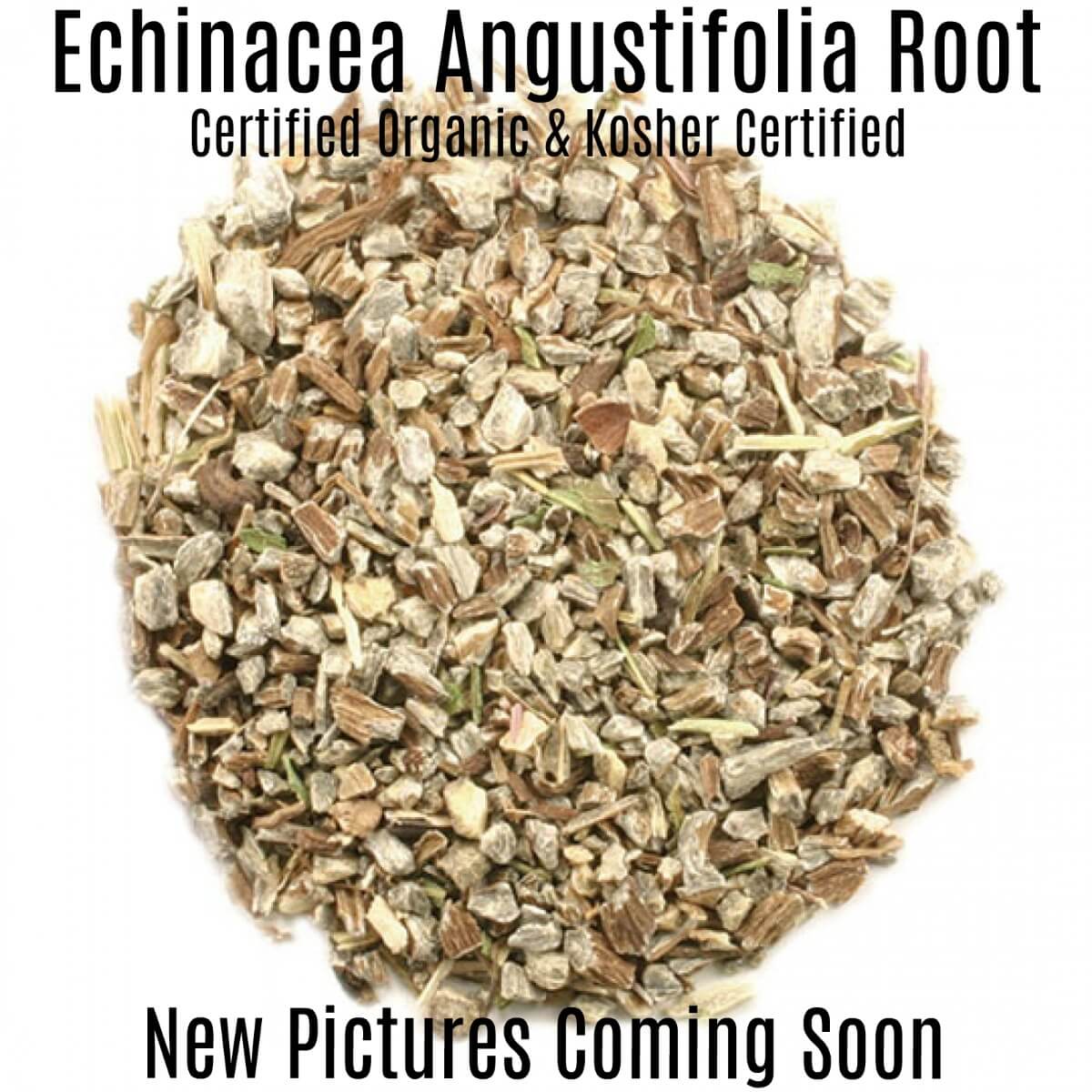 Echinacea Angustifolia Root cut & sifted - Pronounce Skincare & Herbal Boutique